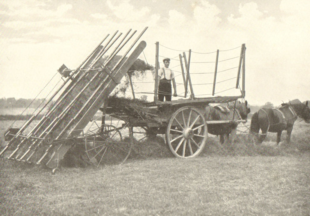 FARMING. Haymaking Machinery – II; Hay Loader in Operation; The Start; 1912